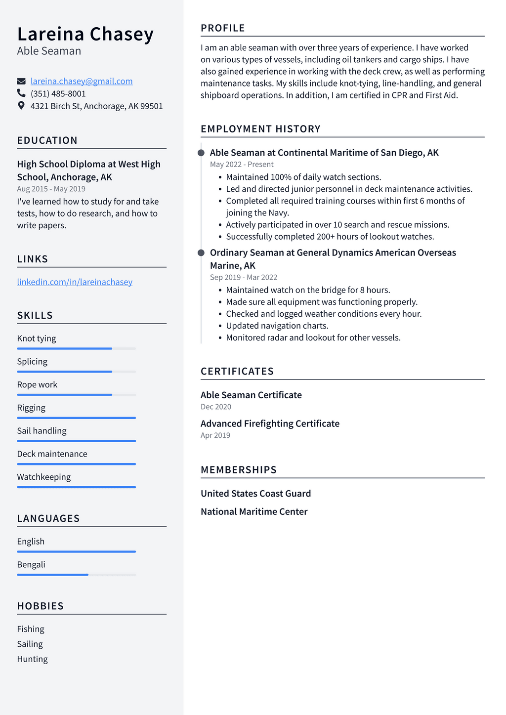 Seaman Resume Example and Writing Guide - ResumeLawyer