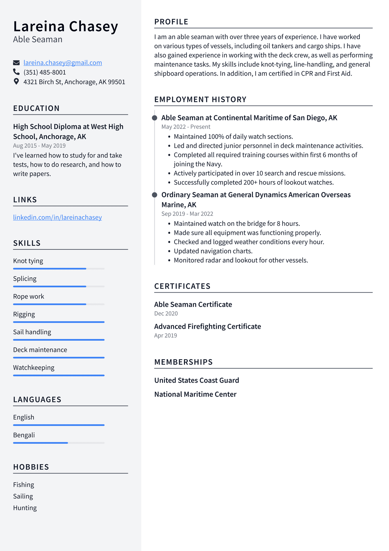 Seaman Resume Example and Writing Guide - ResumeLawyer