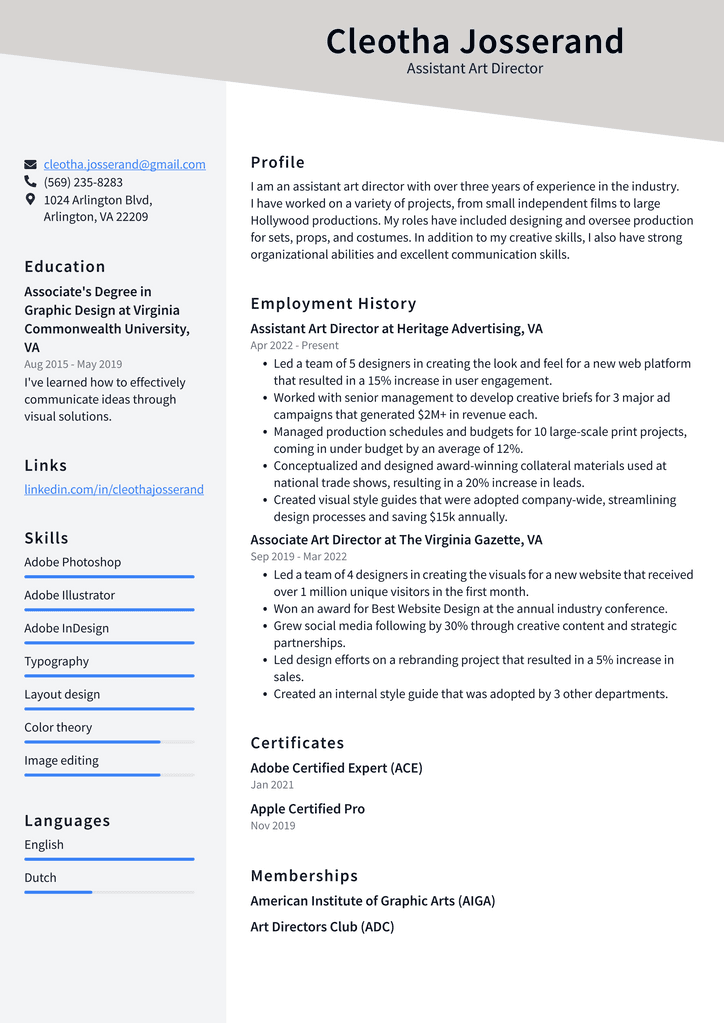 Assistant Art Director Resume Example