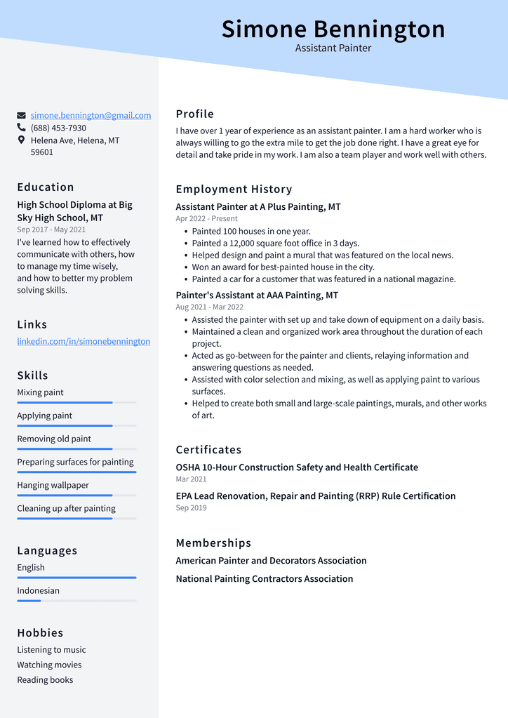 Assistant Painter Resume Example