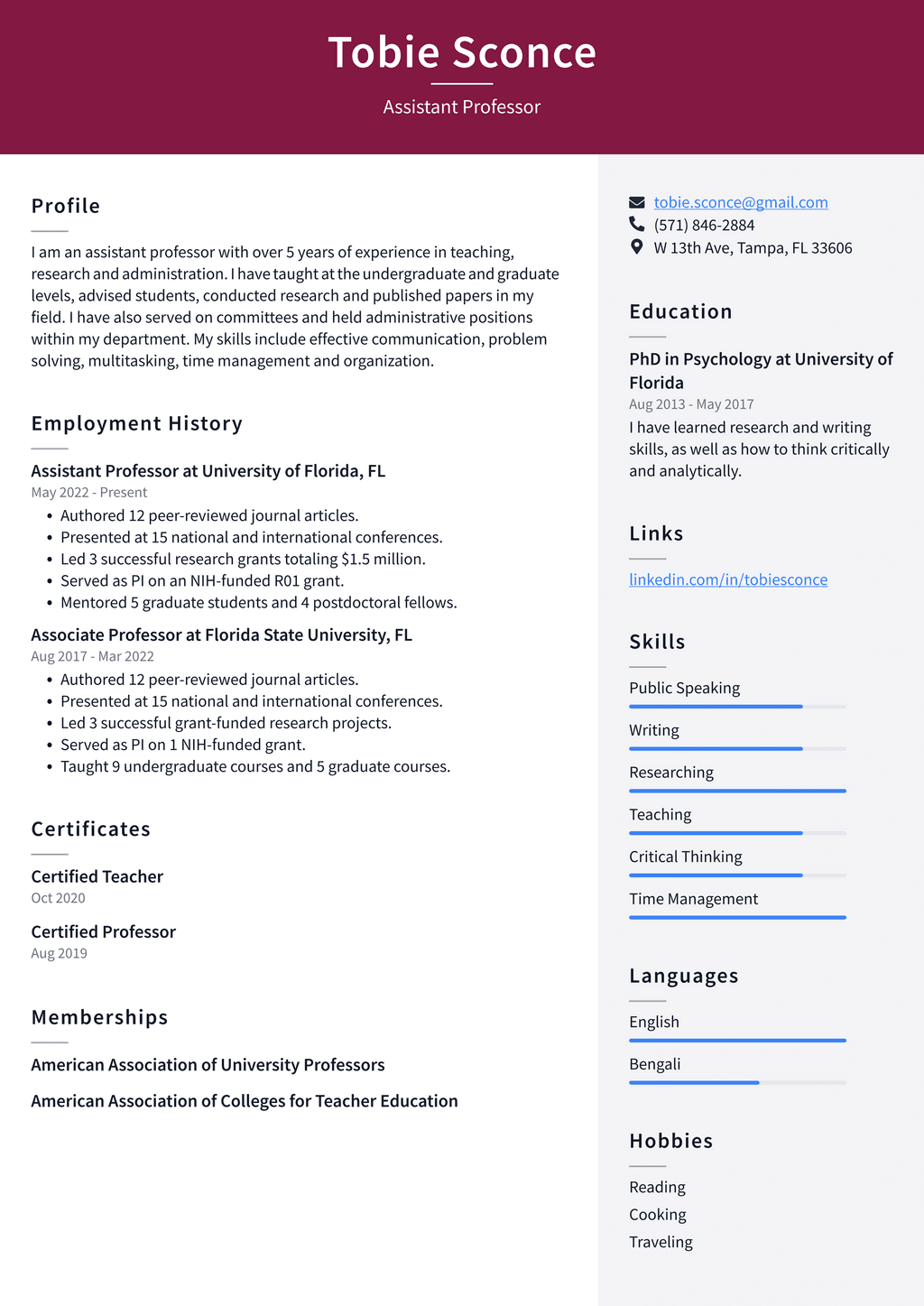 College Professor Resume Example and Writing Guide - ResumeLawyer