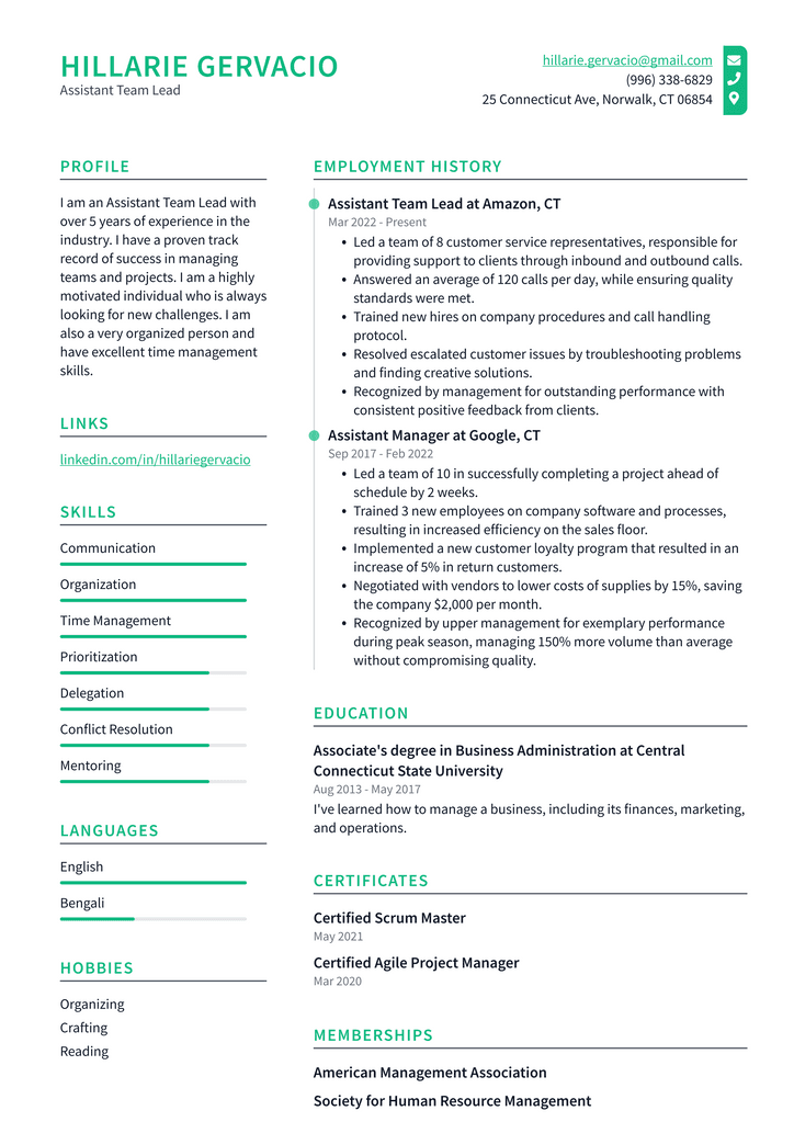 Assistant Team Lead Resume Example