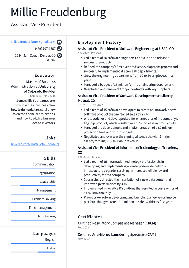 Assistant Vice President Resume Example