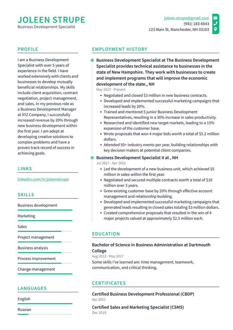 Business Development Manager Resume Example and Writing Guide ...