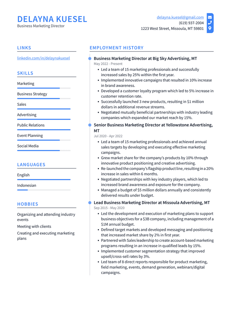 Business Marketing Director Resume Example