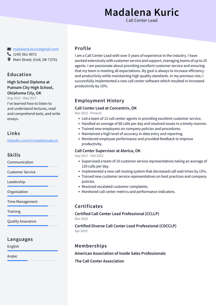 Call Center Lead Resume Example