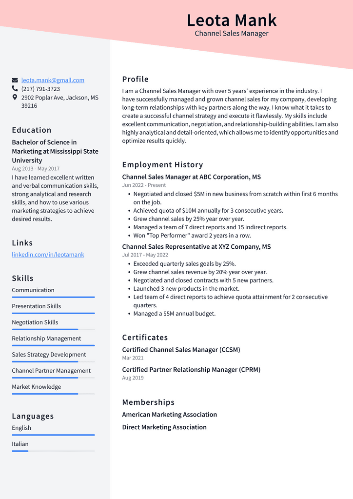 Channel Sales Manager Resume Example