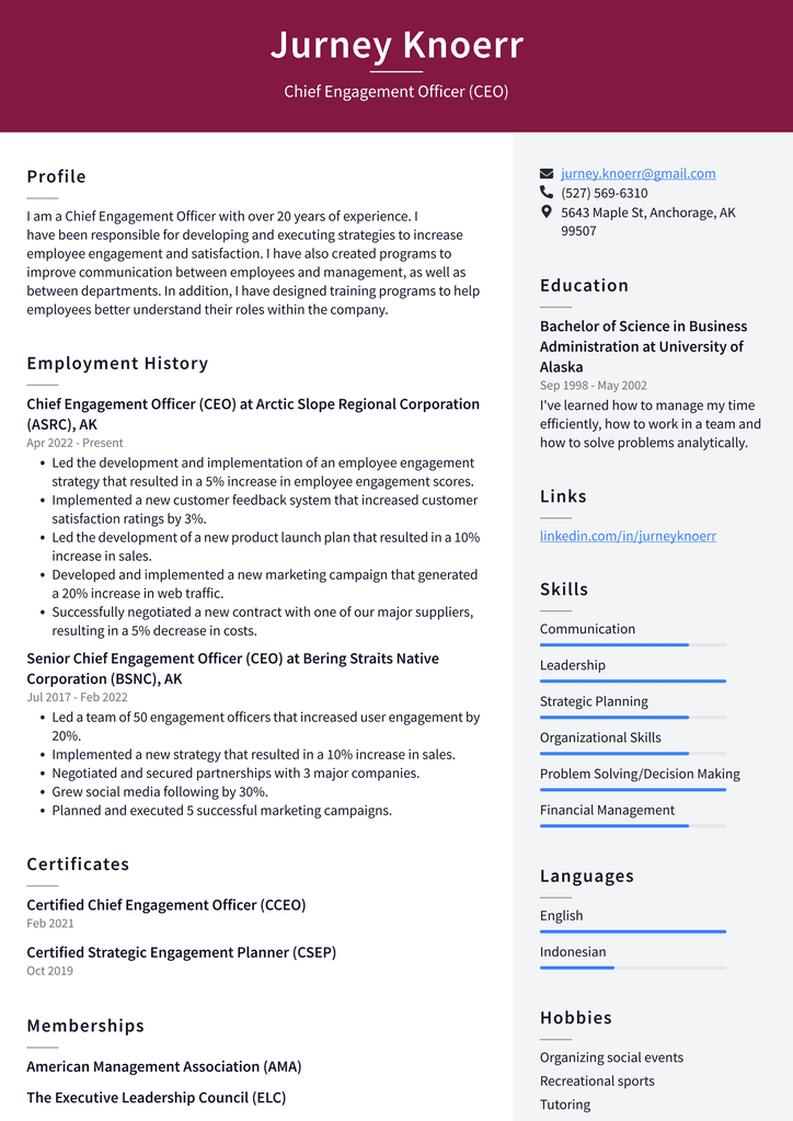 Chief Engagement Officer (CEO) Resume Example