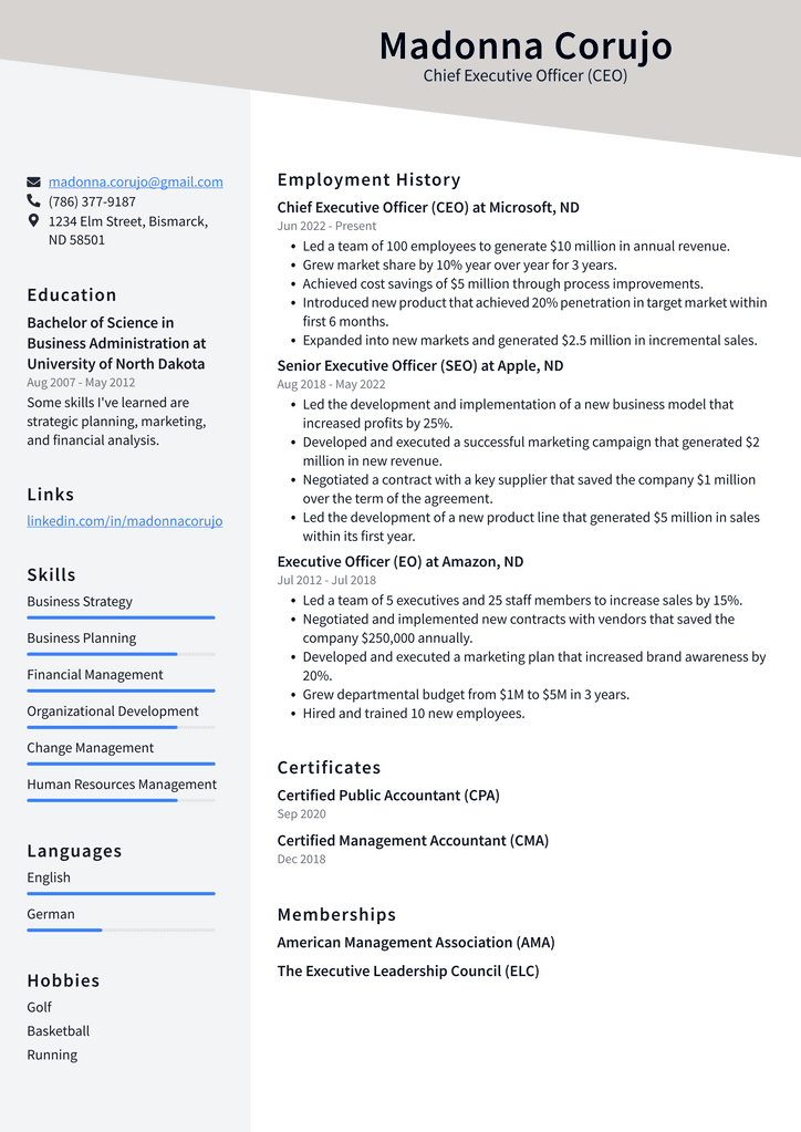 Chief Executive Officer (CEO) Resume Example