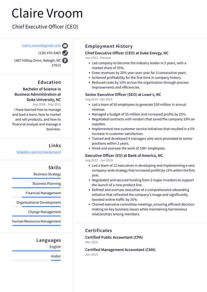 Chief Executive Officer (CEO) Resume Example