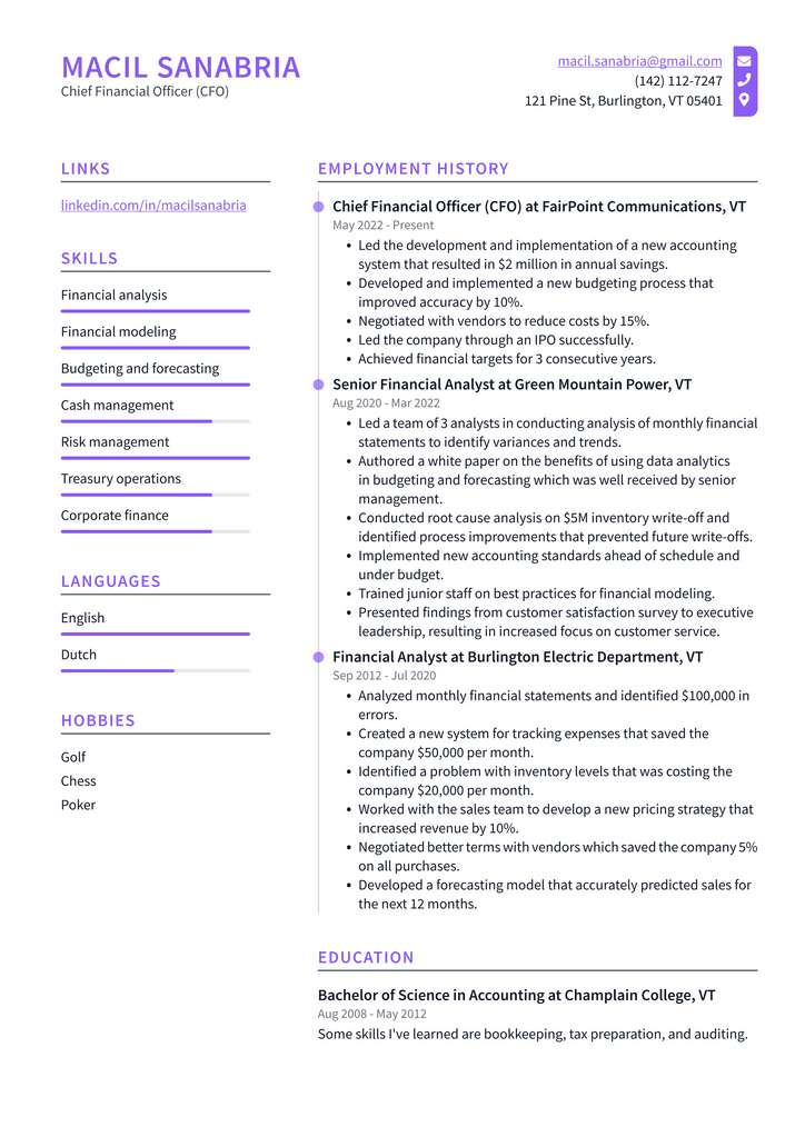 Chief Financial Officer (CFO) Resume Example