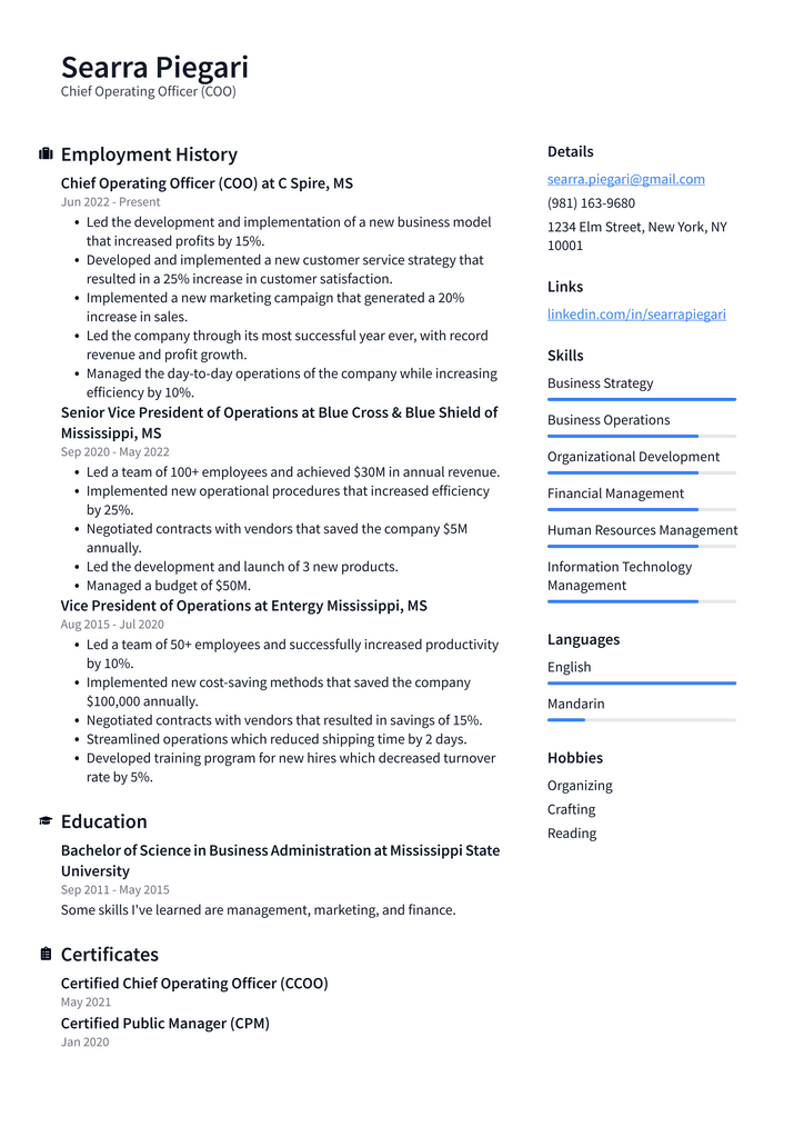 Chief Operating Officer (COO) Resume Example