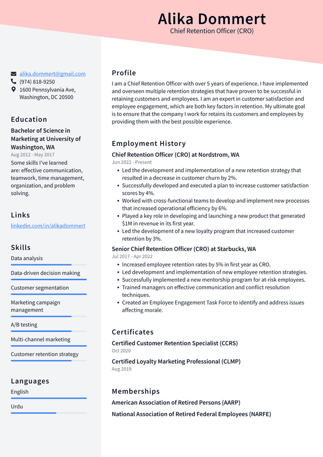 Chief Happiness Officer (cho) Resume Example And Writing Guide 