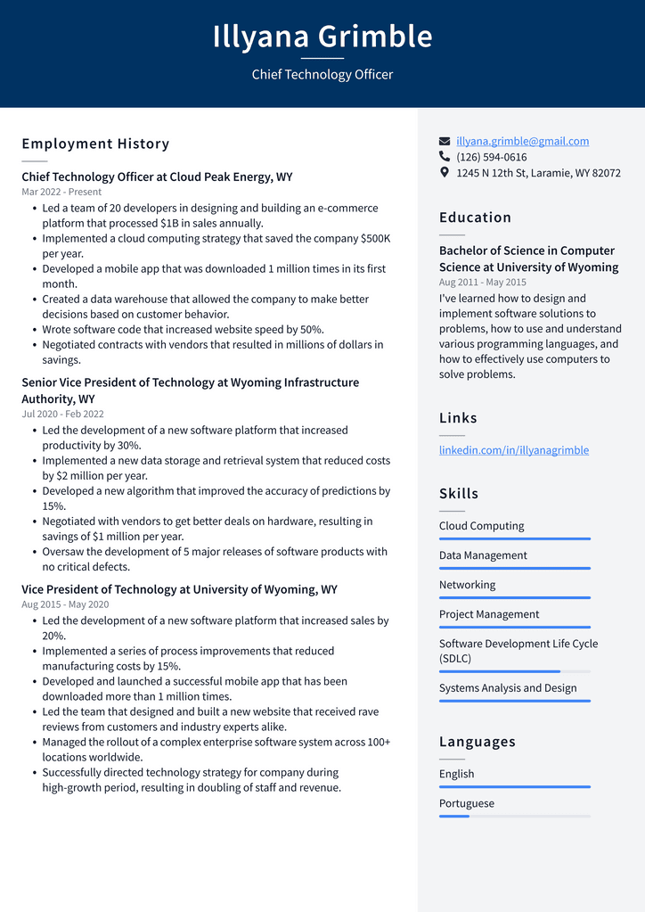 Chief Technology Officer Resume Example