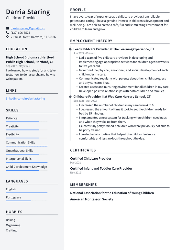 Childcare Provider Resume Example