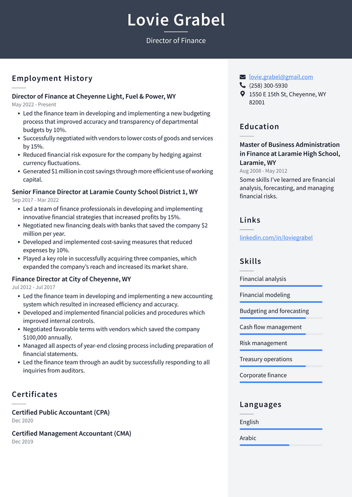 Director of Finance Resume Example
