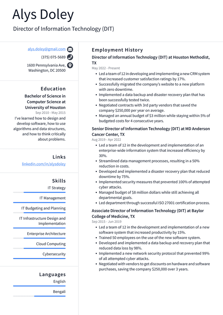 Director of Information Technology (DIT) Resume Example