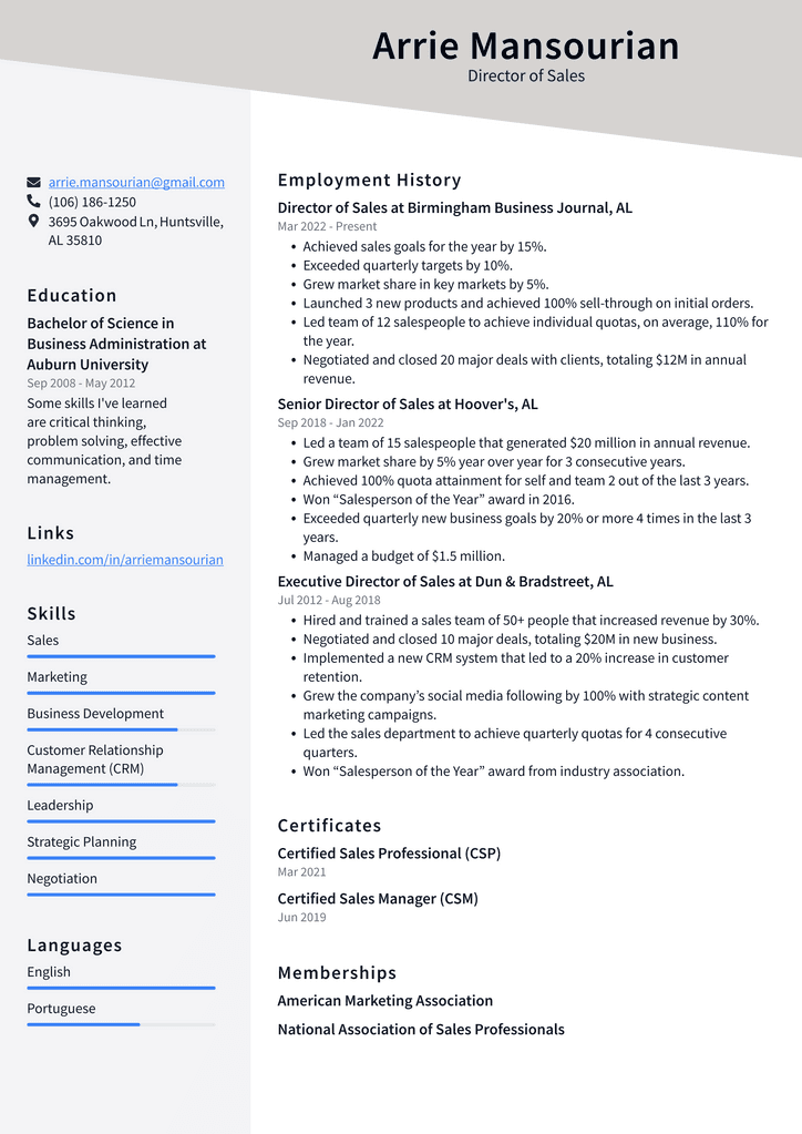 Director of Sales Resume Example