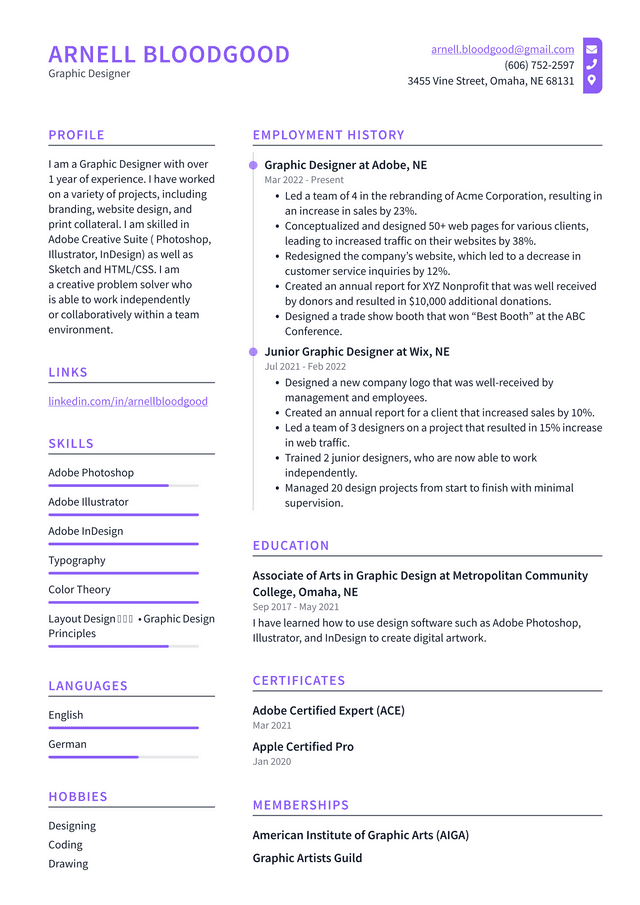 Motion Graphics Artist Resume Example And Writing Guide