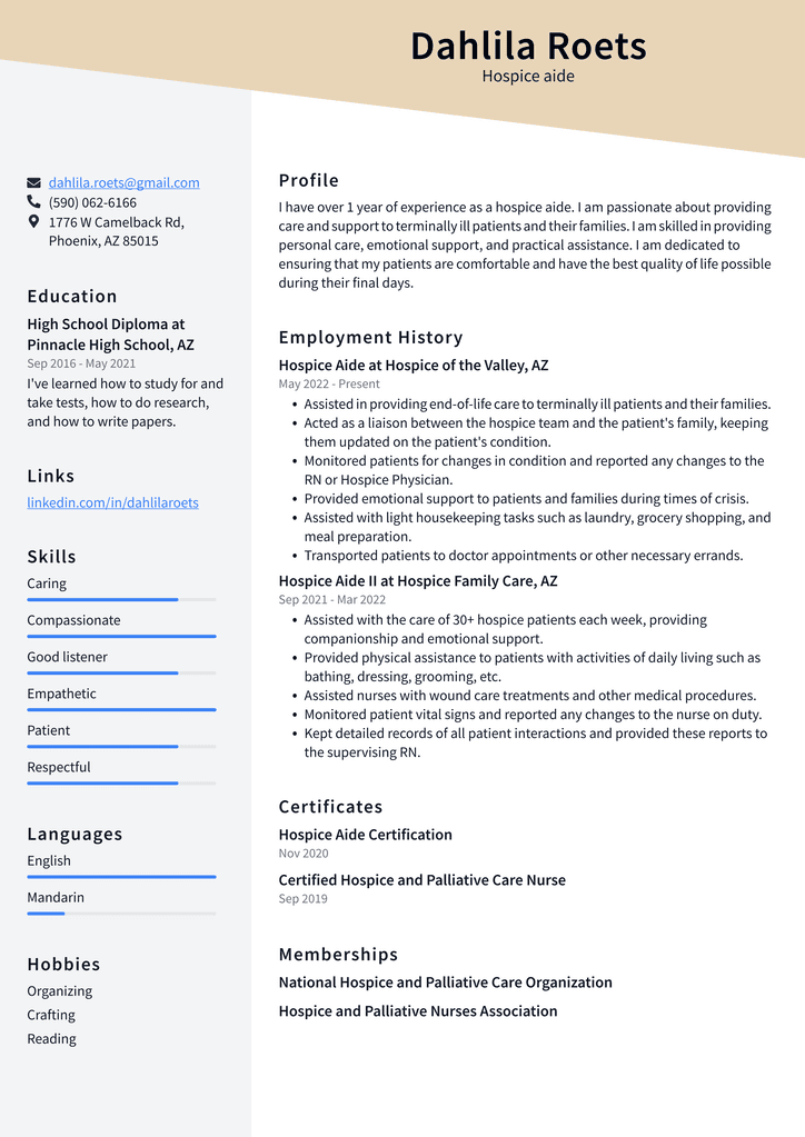Hospice aide Resume Example