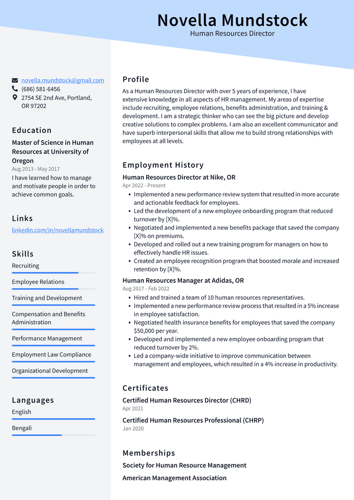 Human Resources Director Resume Example