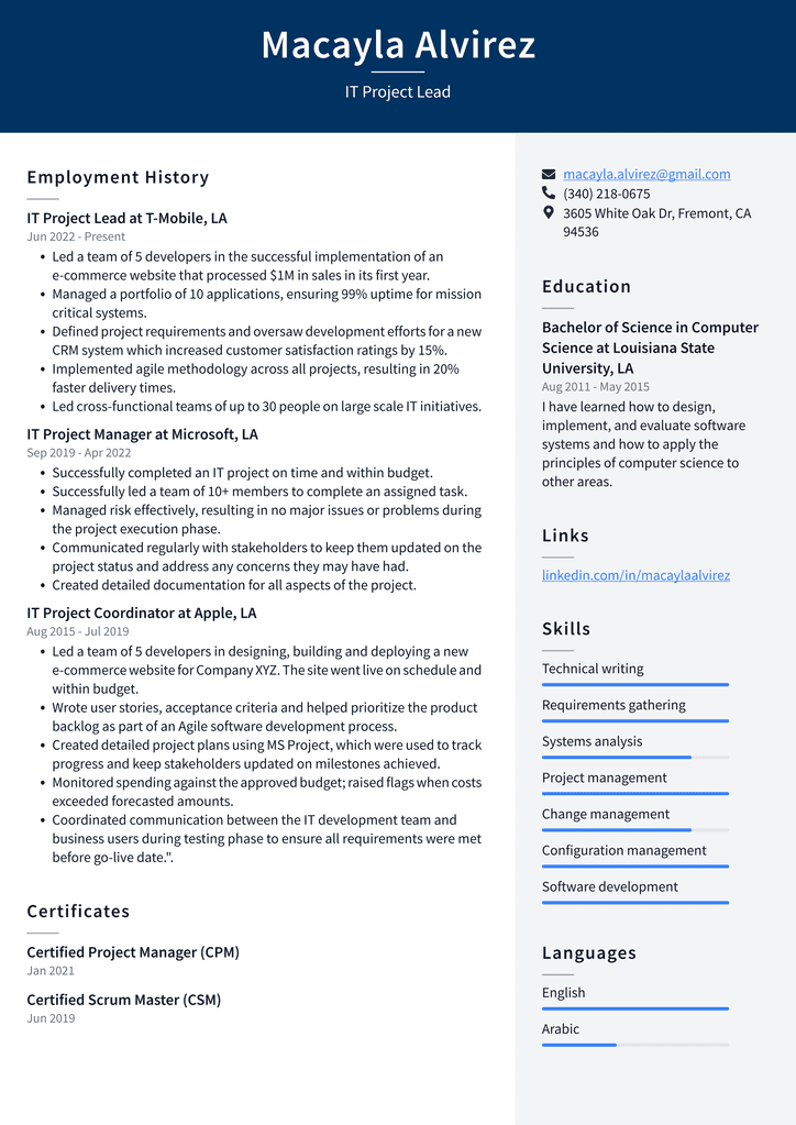 IT Project Lead Resume Example