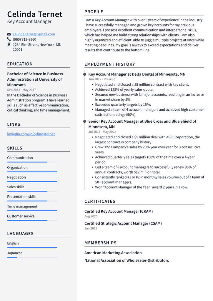 Key Account Manager Resume Example
