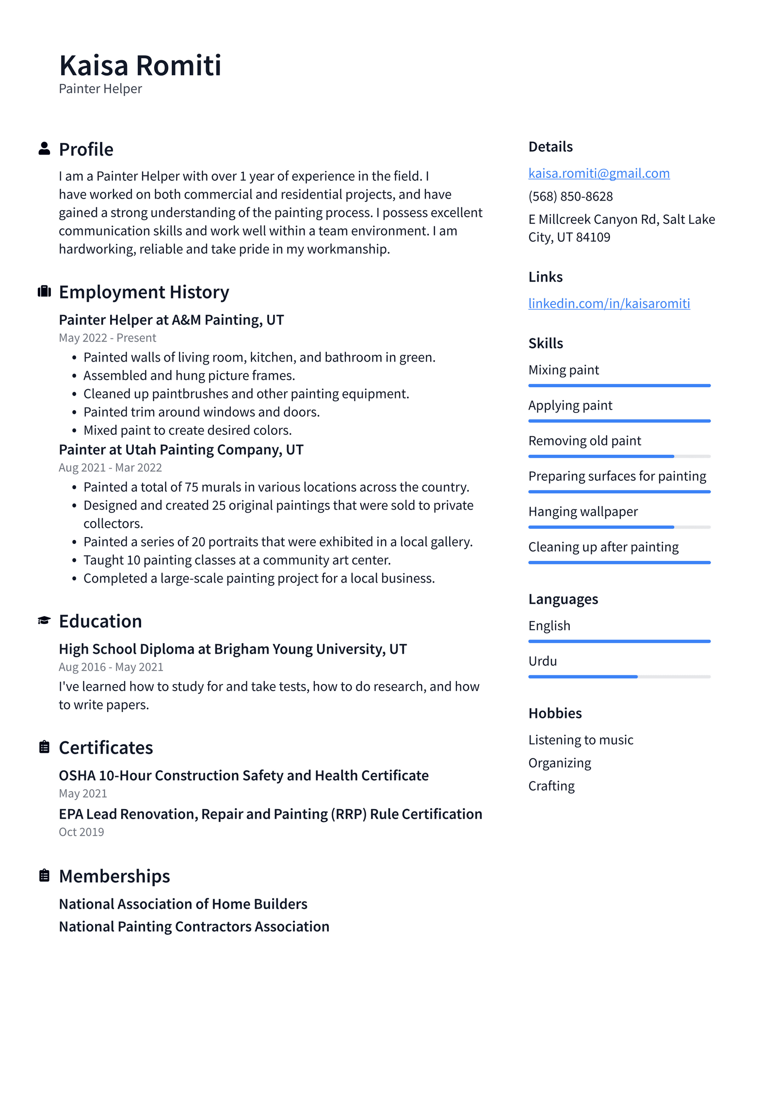 Painter Resume Example and Writing Guide - ResumeLawyer