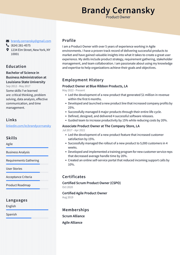 Product Owner Resume Example