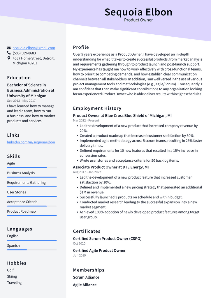 Product Owner Resume Example