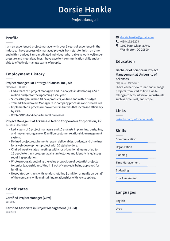 Project Manager I Resume Example