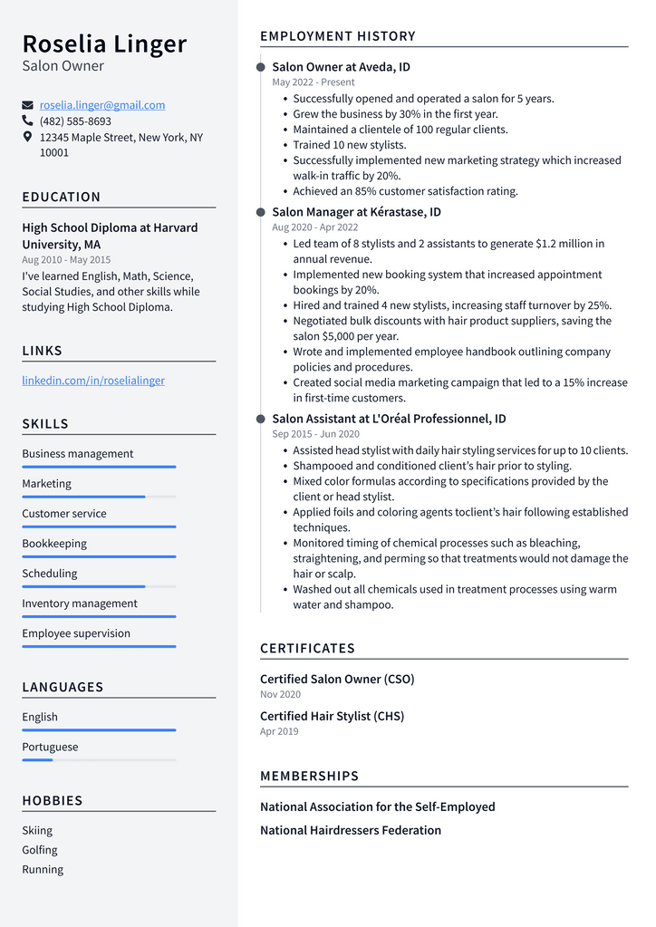 Salon Owner Resume Example