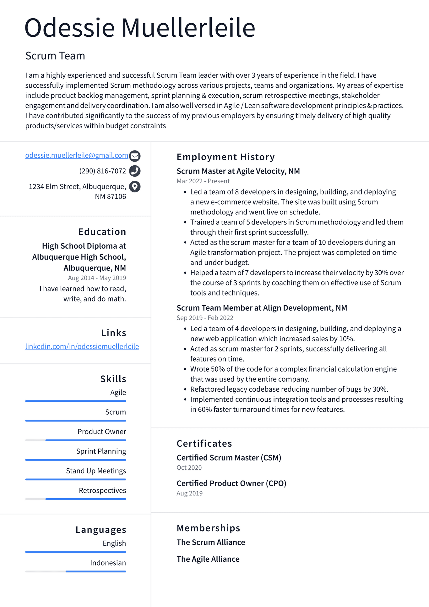 Scrum Master Resume Example and Writing Guide - ResumeLawyer