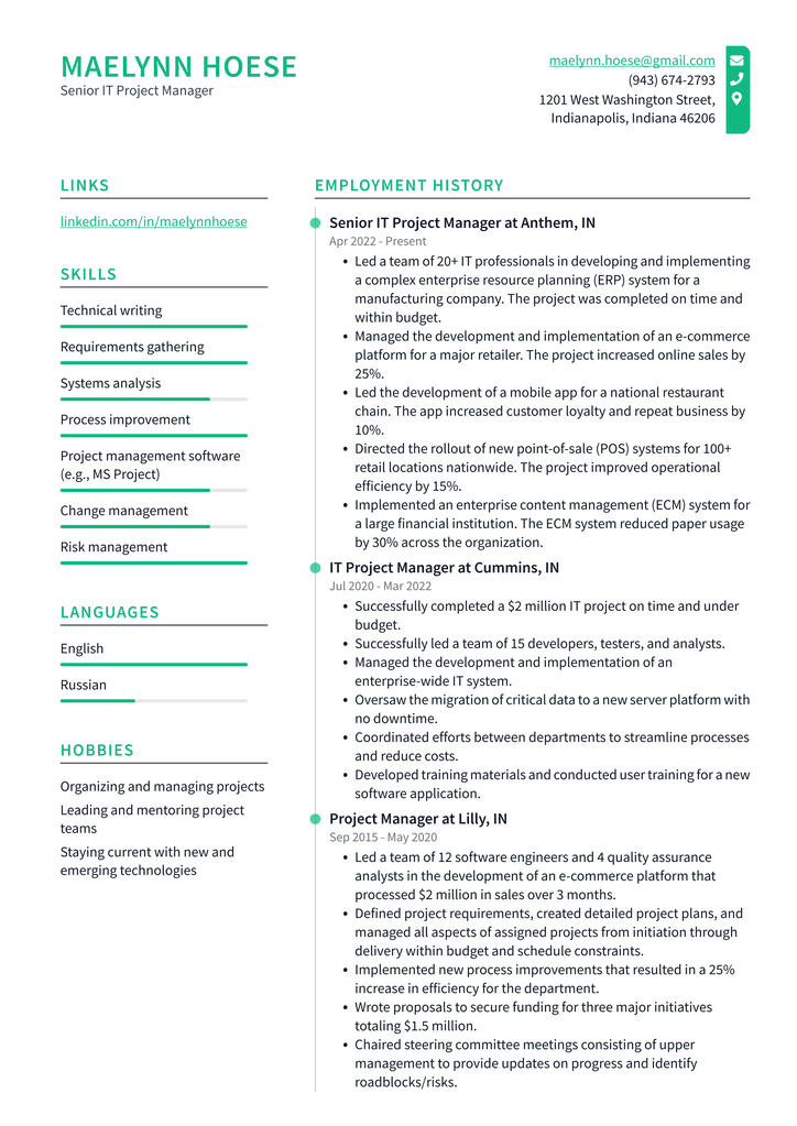 Senior IT Project Manager Resume Example