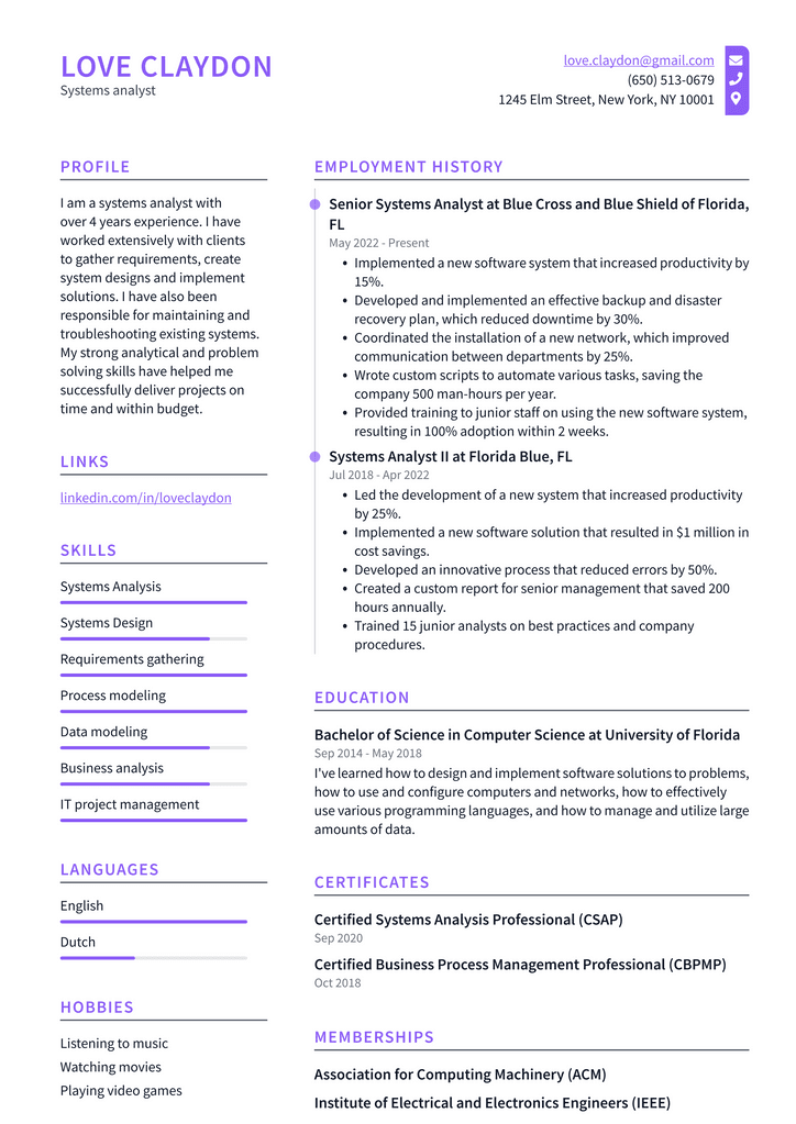 Systems analyst Resume Example