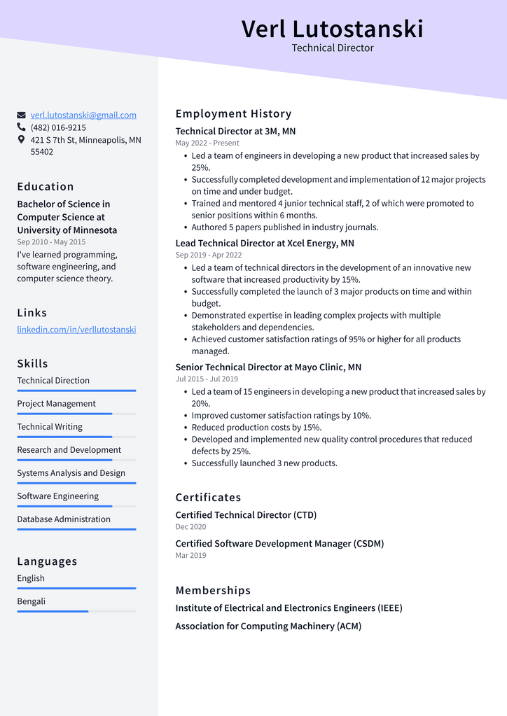 Technical Director Resume Example