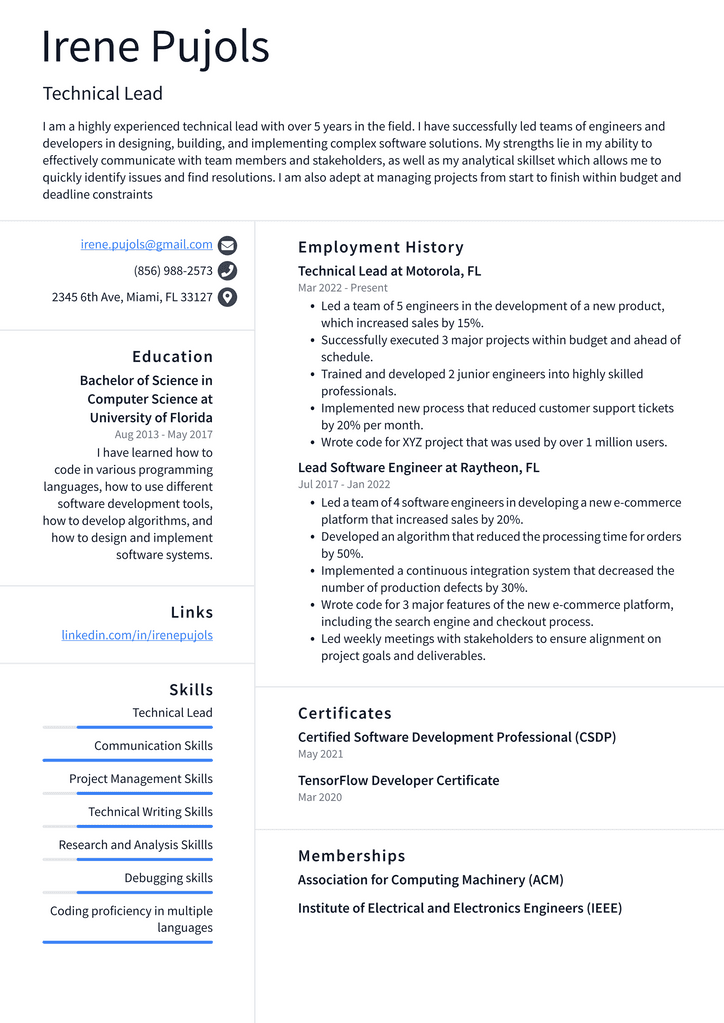 Technical Lead Resume Example