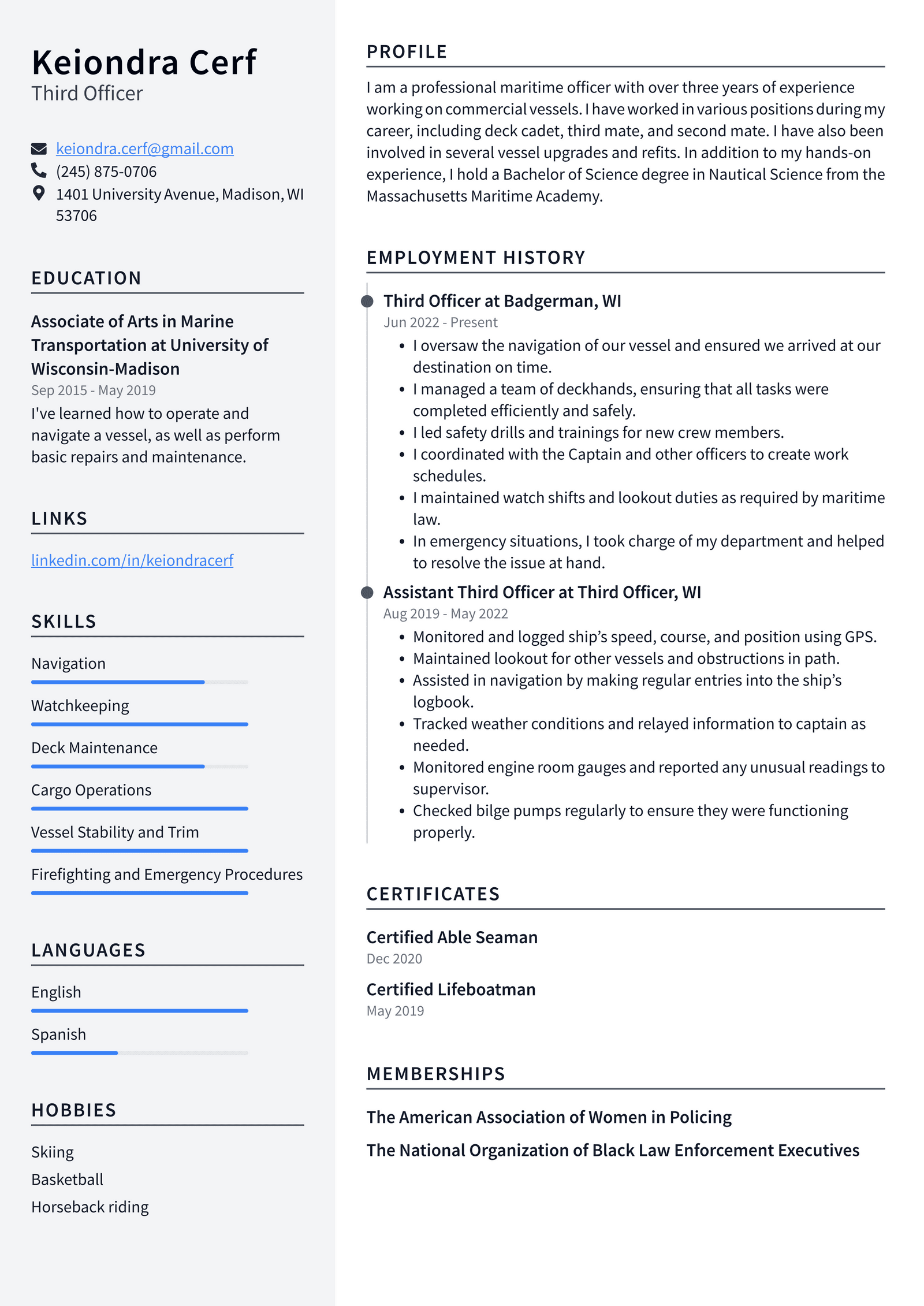 Airline Pilot Resume Example and Writing Guide - ResumeLawyer