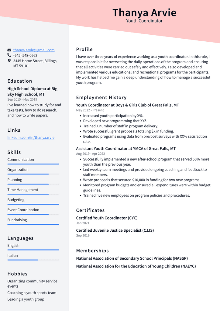 Youth Coordinator Resume Example